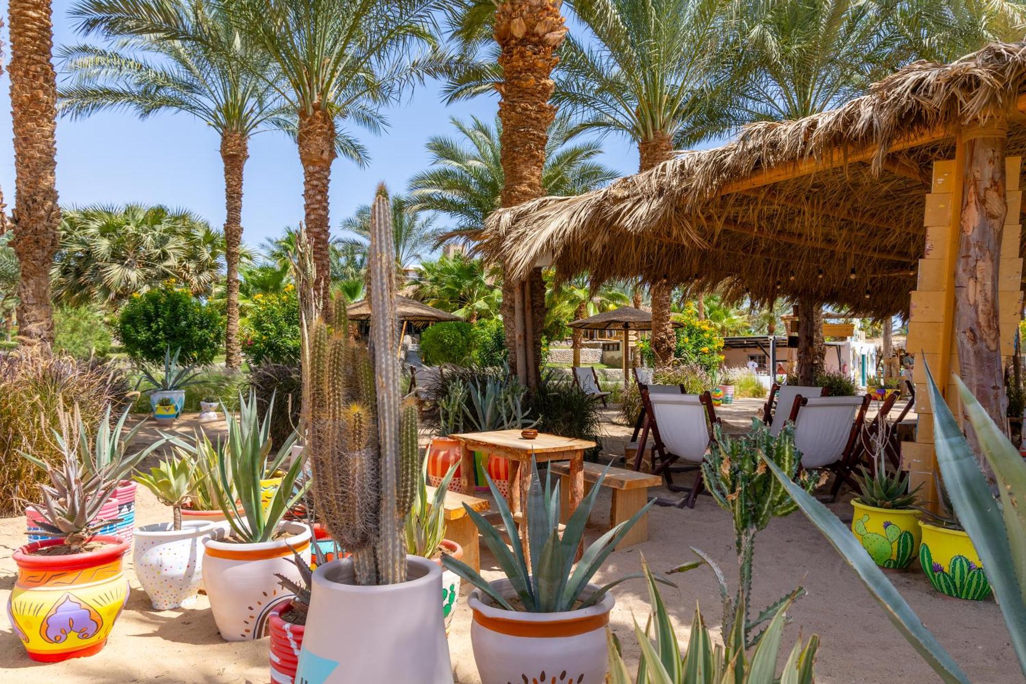 Fort Arabesque Resort, Spa & Villas Hurghada Bagian luar foto